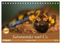 Salamander und Co. (Tischkalender 2024 DIN A5 quer), CALVENDO Monatskalender - Ursula Di Chito