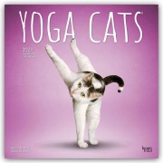 Cover-Bild zum Titel 'Yoga Cats - Katzen Yoga 2027 - 16-Monatskalender' von 'Browntrout Publishers'