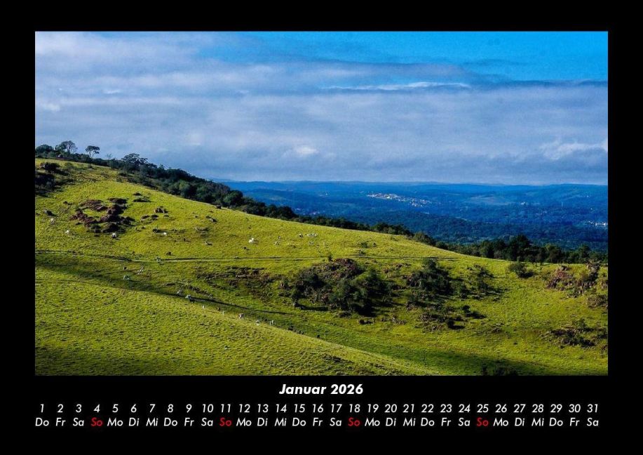 InsideView 5