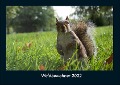 Waldbewohner 2022 Fotokalender DIN A4 - Tobias Becker