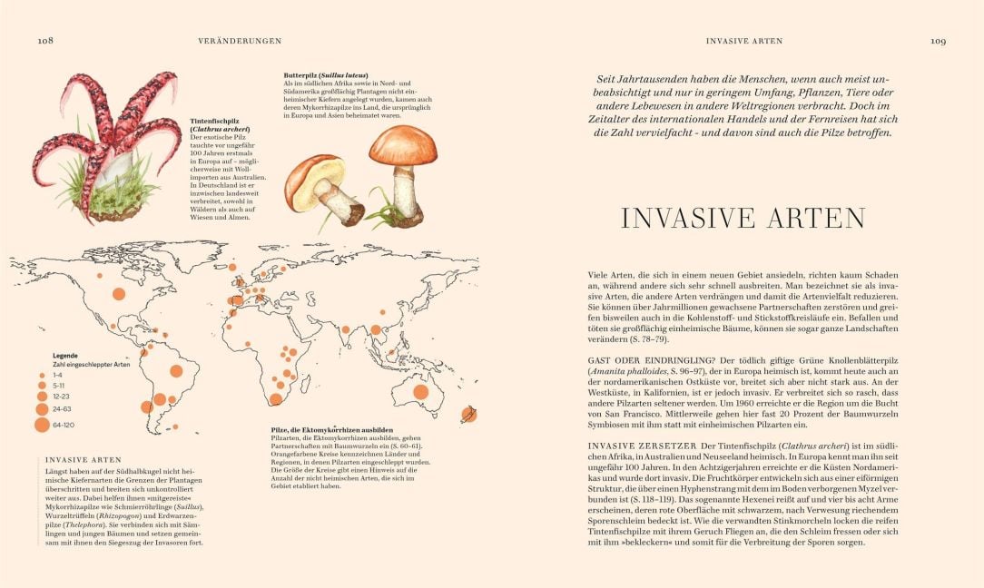 InsideView 5