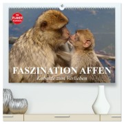 Cover-Bild zum Titel 'Faszination Affen. Kobolde zum Verlieben (hochwertiger Premium Wandkalender 2026 DIN A2 quer), Kunstdruck in Hochglanz' von 'Elisabeth Stanzer'