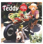 Cover-Bild zum Titel 'Teddy 2027' von ''