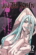 Cover-Bild zum Titel 'Jujutsu Kaisen, Vol. 12' von 'Gege Akutami'