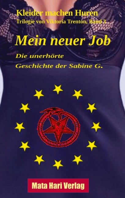 Mein neuer Job - Die unerhörte Geschichte der Sabine G. - Viktoria Trenton