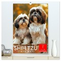 Shih Tzu - immer im Mittelpunkt (hochwertiger Premium Wandkalender 2025 DIN A2 hoch), Kunstdruck in Hochglanz - Peter Roder