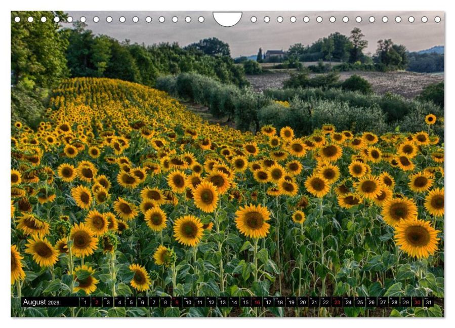 InsideView 13