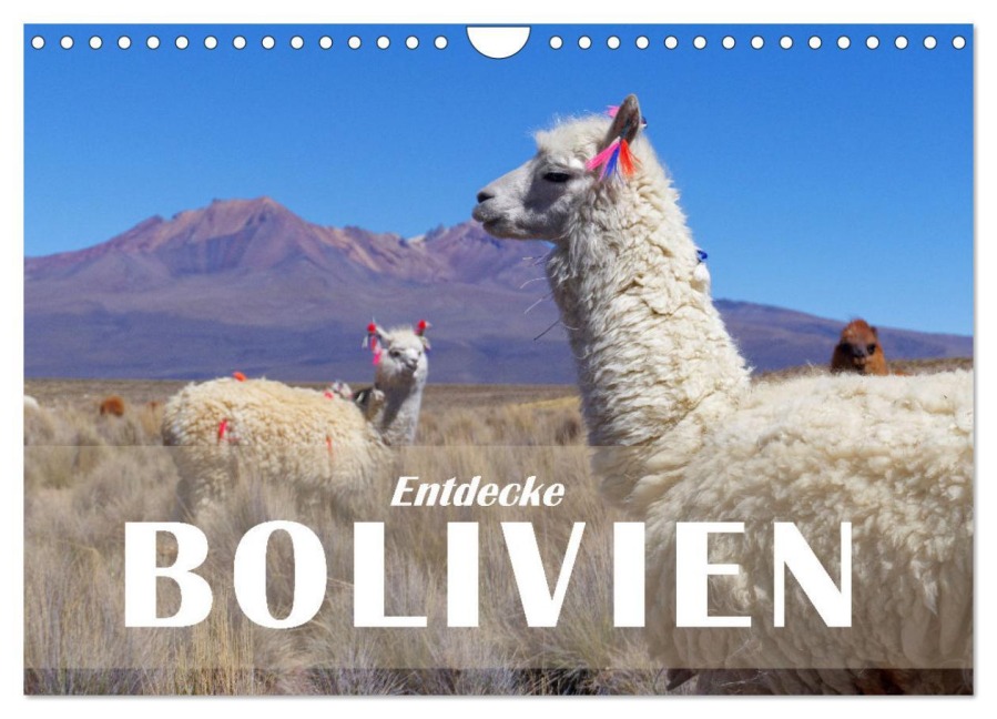 Entdecke Bolivien (Wandkalender 2026 DIN A4 quer), CALVENDO Monatskalender - Askson Vargard