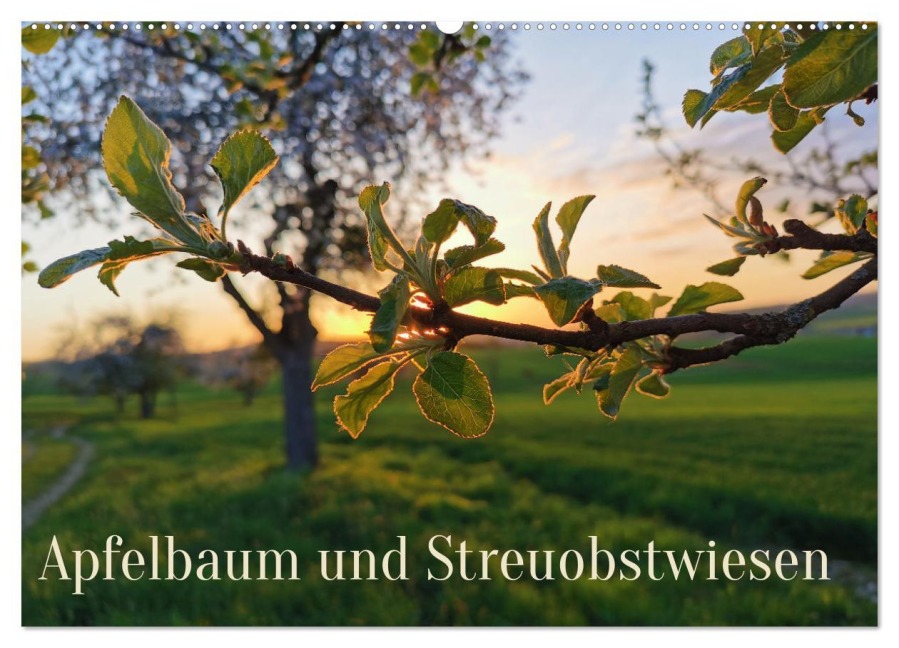 Apfelbaum und Streuobstwiesen (Wandkalender 2025 DIN A2 quer), CALVENDO Monatskalender - Stefan Weis