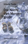 Cover-Bild zum Titel 'Die Nacht den Morgen grüßt' von 'Ursula Tiede'