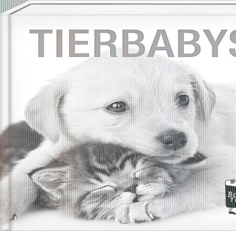 Tierbabys - Book To Go - 