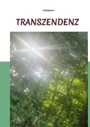 Cover-Bild zum Titel 'Transzendenz' von 'Hellstern Hofnarr des Lichts'