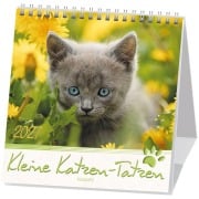 Cover-Bild zum Titel 'Kleine Katzen-Tatzen 2027' von ''