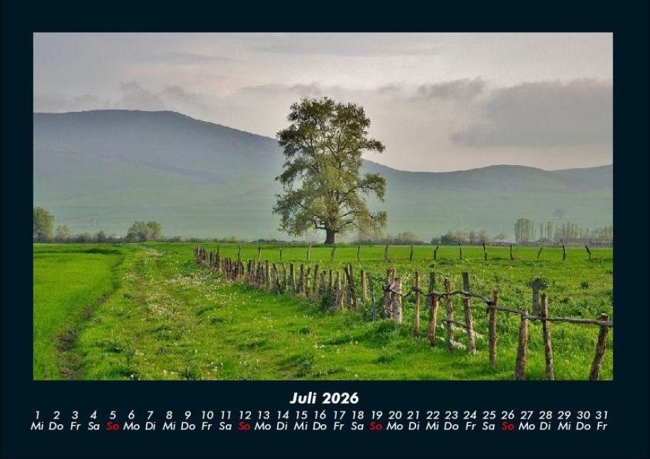 InsideView 11