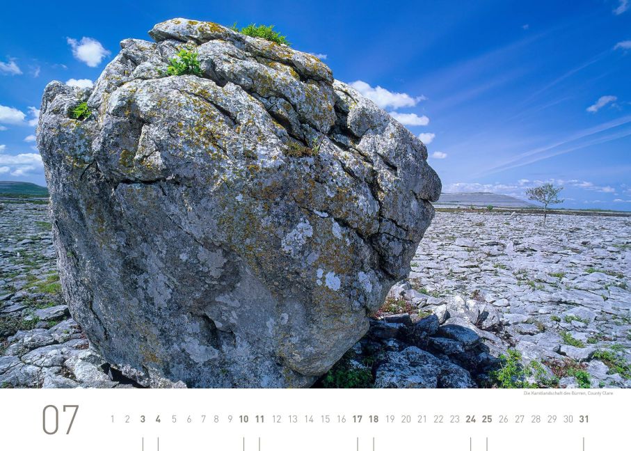 InsideView 7