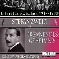 Cover-Bild zum Titel 'Brennendes Geheimnis' von 'Stefan Zweig'