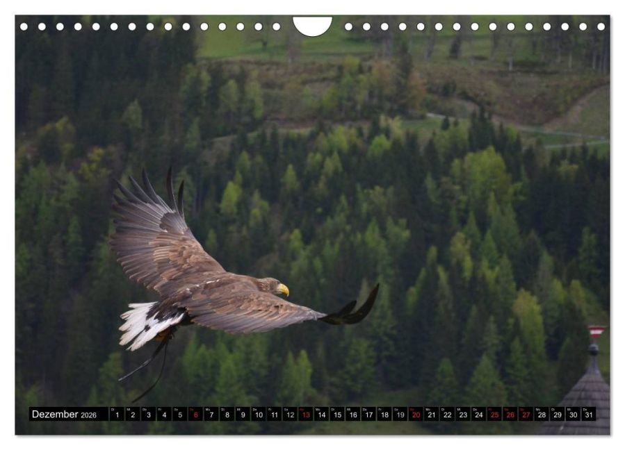 InsideView 4