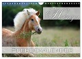 Haflinger / Geburtstagskalender (Wandkalender 2024 DIN A4 quer), CALVENDO Monatskalender - Nicole Noack