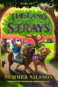Cover-Bild zum Titel 'The Land of the Strays (Loodor Tales)' von 'Summer Nilsson'