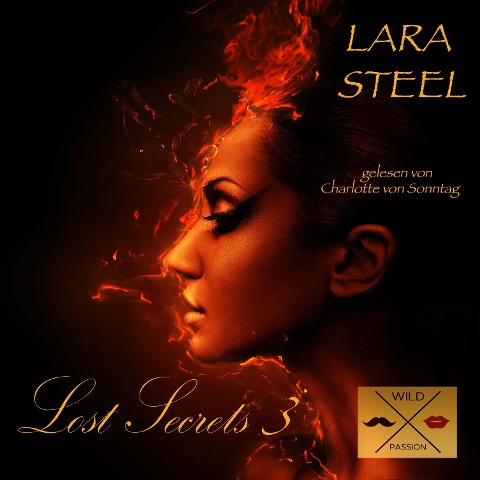 Lost Secrets 3 - Lara Steel