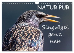 NATUR PUR - Singvögel ganz nah (Wandkalender 2025 DIN A4 quer), CALVENDO Monatskalender - Karin Dietzel