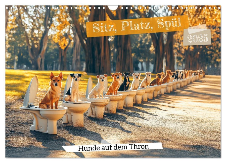 Sitz, Platz, Spül - Hunde auf dem Thron (Wandkalender 2025 DIN A3 quer), CALVENDO Monatskalender - Mb Fotografie