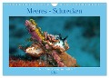 Meeres-Schnecken (Wandkalender 2024 DIN A4 quer), CALVENDO Monatskalender - Ute Niemann
