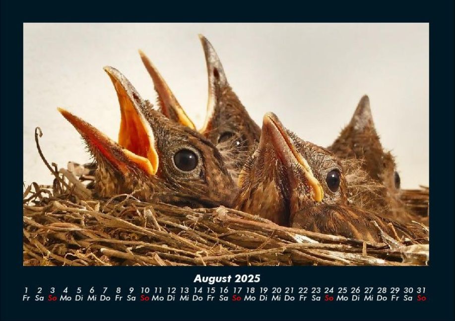 InsideView 12
