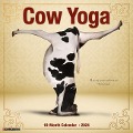 Cow Yoga 2024 12 X 12 Wall Calendar - Willow Creek Press
