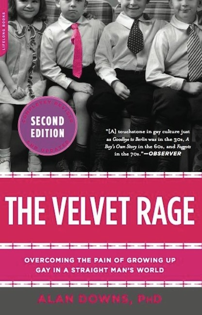 The Velvet Rage - Alan Downs