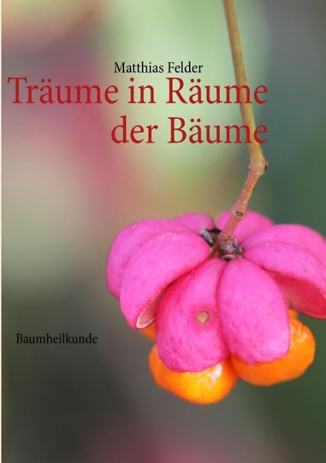 Träume in Räume der Bäume - Matthias Felder