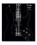 Cover-Bild zum Titel 'Fender Stratocaster 70 Years' von 'Dave Hunter'