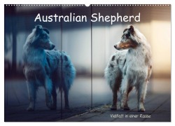 Australian Shepherd - Vielfalt in einer Rasse (Wandkalender 2025 DIN A2 quer), CALVENDO Monatskalender - Sabrina Wobith Photography