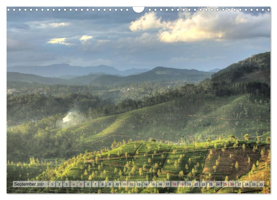 InsideView 11