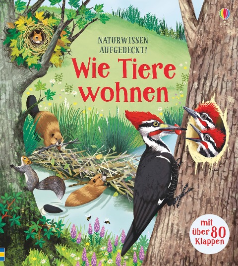 Naturwissen aufgedeckt! Wie Tiere wohnen - Emily Bone