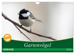 Cover-Bild zum Titel 'Gartenvögel (Wandkalender 2026 DIN A4 quer), CALVENDO Monatskalender' von 'Samashy Romy Schötz'