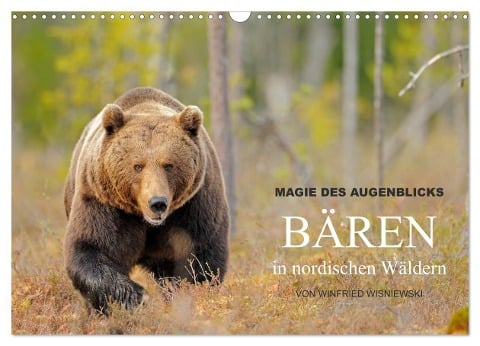 Magie des Augenblicks - Bären in nordischen Wäldern (Wandkalender 2024 DIN A3 quer), CALVENDO Monatskalender - Winfried Wisniewski