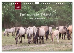 Cover-Bild zum Titel 'Dülmener Pferde, wild und schön (Wandkalender 2026 DIN A4 quer), CALVENDO Monatskalender' von 'Angelika Keller'