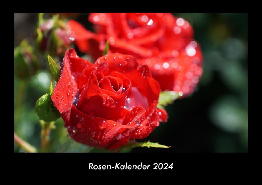 Rosen-Kalender 2024 Fotokalender DIN A3 - Tobias Becker