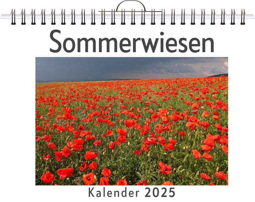 Sommerwiesen - Ben Kaiser