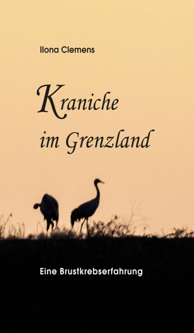Kraniche im Grenzland - Ilona Clemens