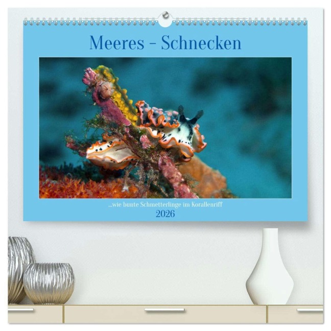 Meeres-Schnecken (hochwertiger Premium Wandkalender 2026 DIN A2 quer), Kunstdruck in Hochglanz - Ute Niemann