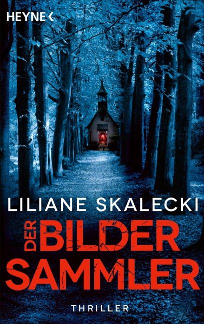 Der Bildersammler - Liliane Skalecki