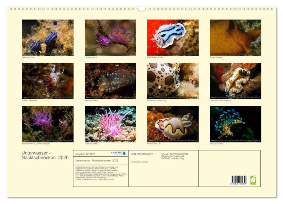 InsideView 5