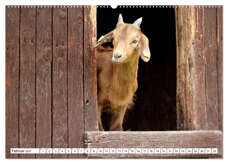 InsideView 6
