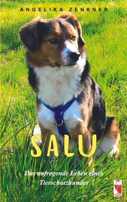SALU - Angelika Zenkner