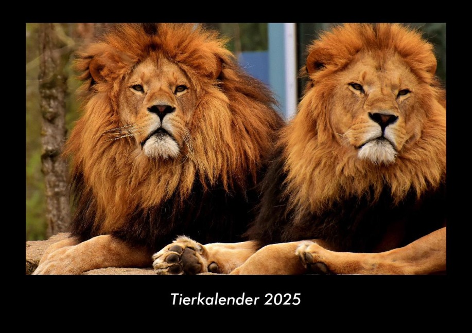 Tierkalender 2025 Fotokalender DIN A3 - Tobias Becker