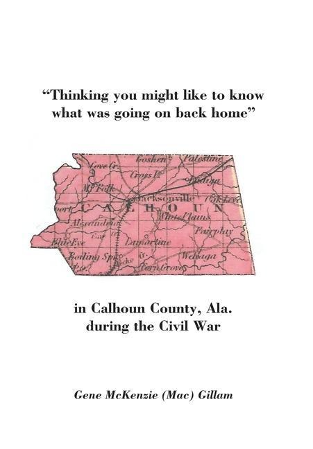 Thinking You Might Like to Know What Was Going on Back Home - Mac Gillam