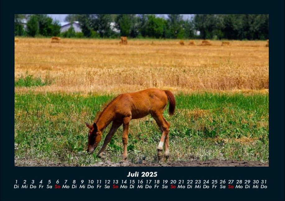 InsideView 11