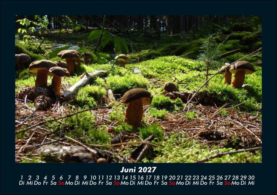 InsideView 10